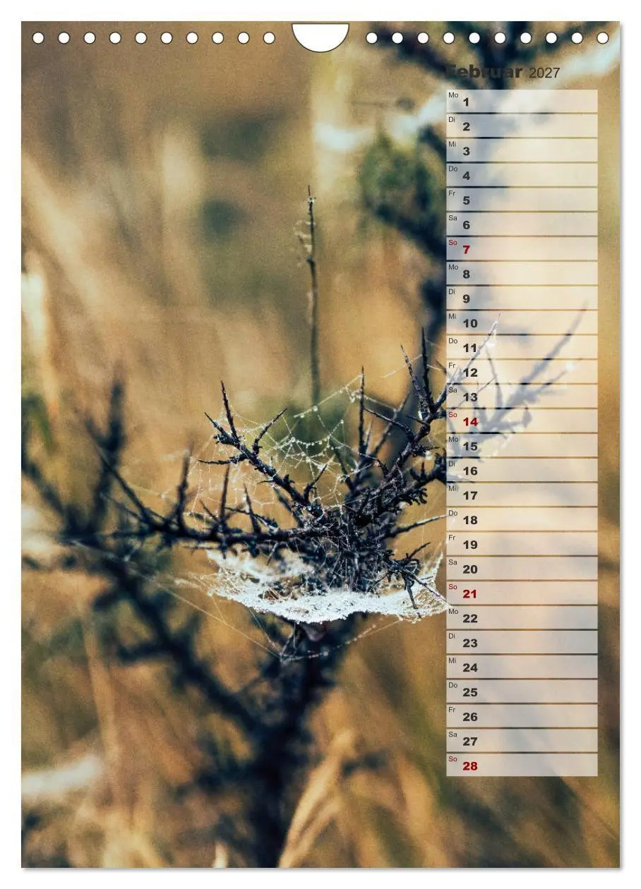 Bild: 9783569605145 | Kalender - Natur im Detail (Wandkalender 2027 DIN A4 hoch),...