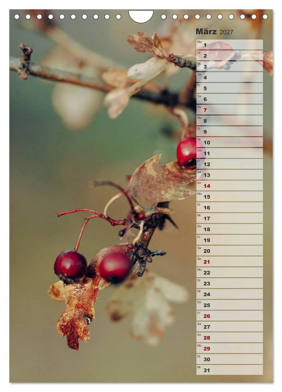 Bild: 9783569605145 | Kalender - Natur im Detail (Wandkalender 2027 DIN A4 hoch),...