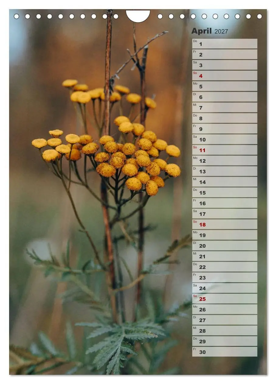 Bild: 9783569605145 | Kalender - Natur im Detail (Wandkalender 2027 DIN A4 hoch),...