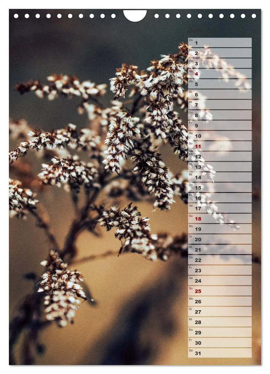 Bild: 9783569605145 | Kalender - Natur im Detail (Wandkalender 2027 DIN A4 hoch),...