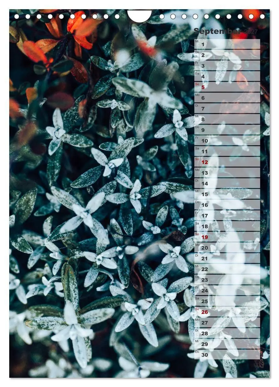 Bild: 9783569605145 | Kalender - Natur im Detail (Wandkalender 2027 DIN A4 hoch),...