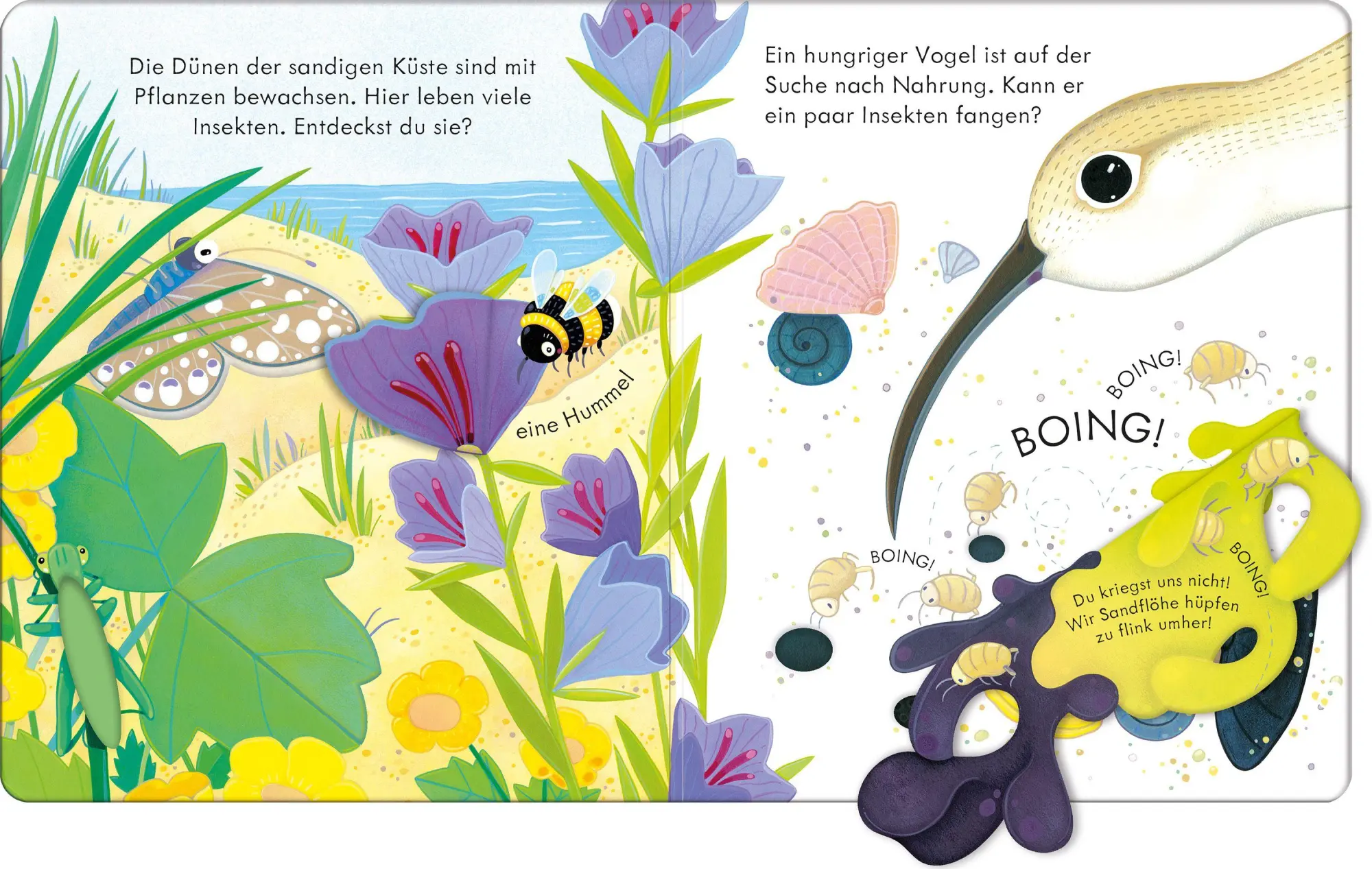 Bild: 9781035705245 | Guck mal, wer da ist! An der Küste | Anna Milbourne | Buch | 14 S.