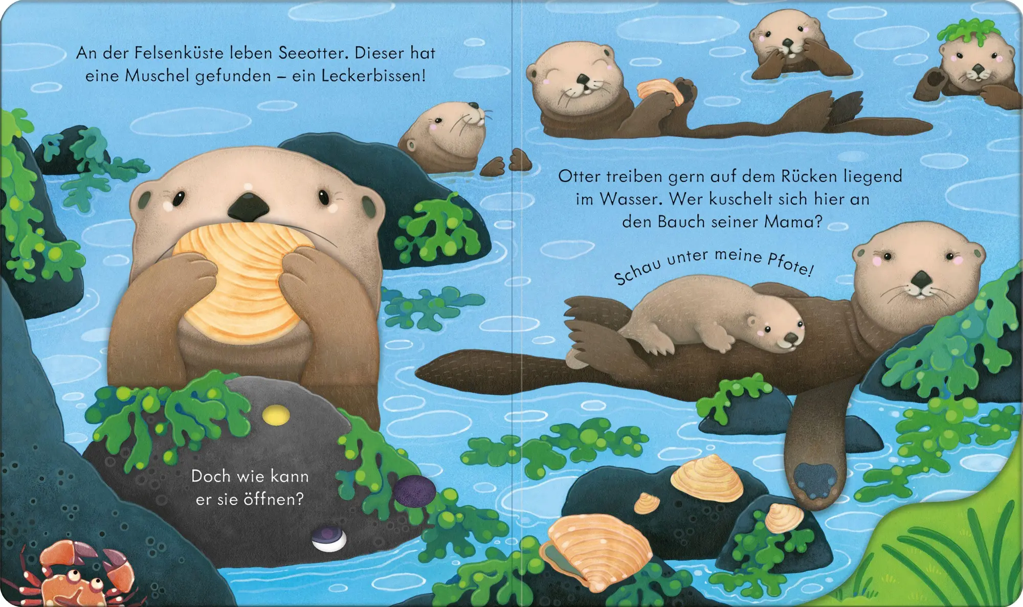 Bild: 9781035705245 | Guck mal, wer da ist! An der Küste | Anna Milbourne | Buch | 14 S.