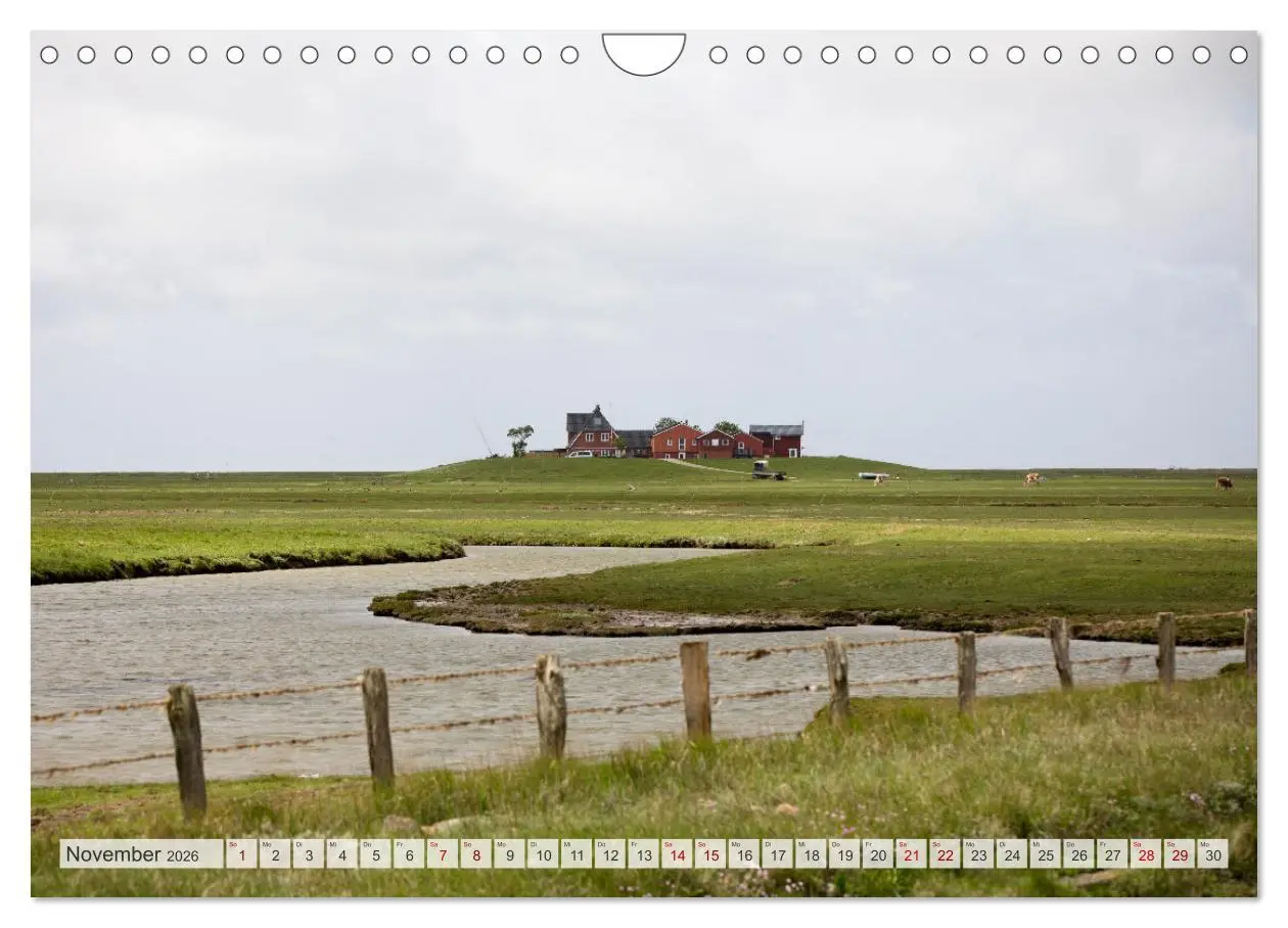 Bild: 9783457585245 | Wunderschöne Hallig Hooge (Wandkalender 2026 DIN A4 quer), CALVENDO...