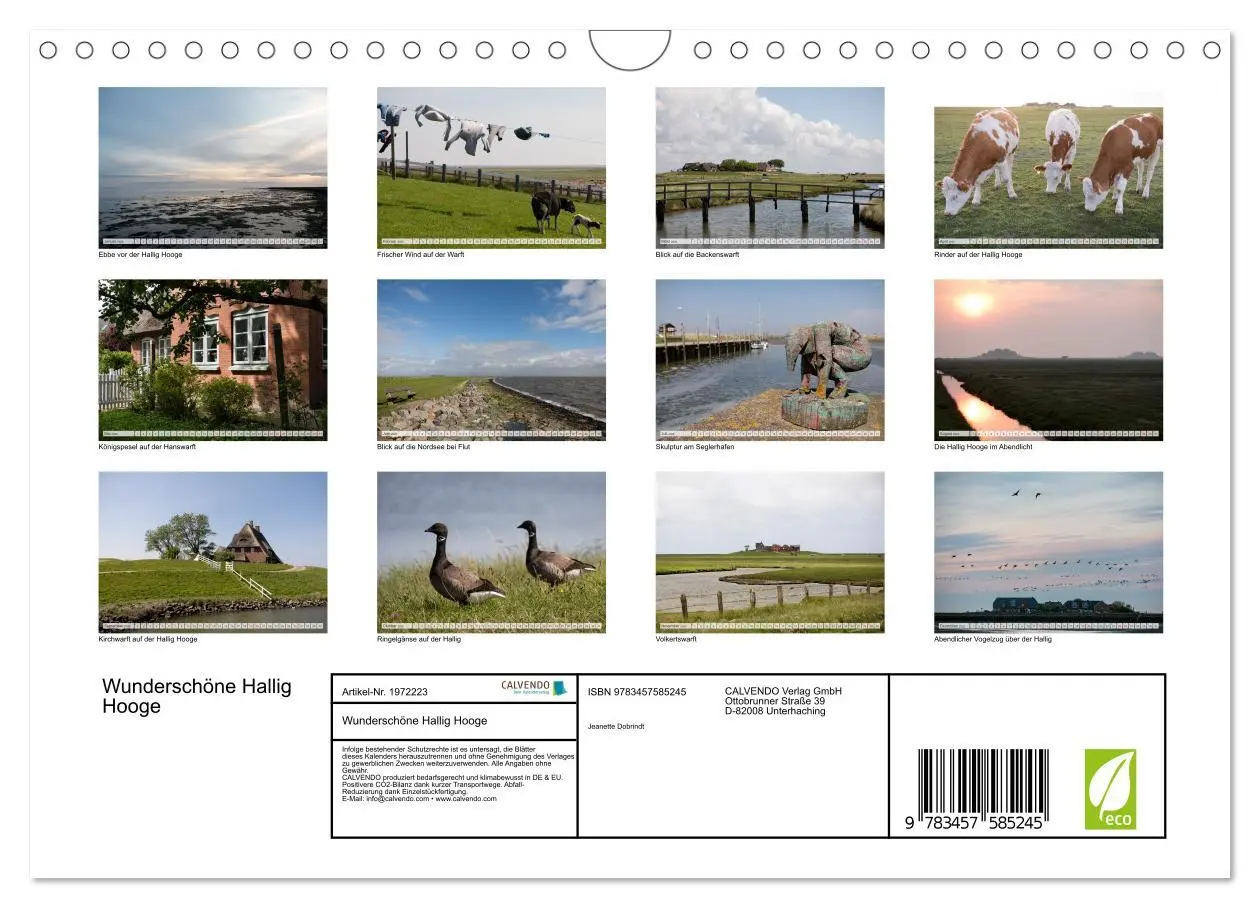 Bild: 9783457585245 | Wunderschöne Hallig Hooge (Wandkalender 2026 DIN A4 quer), CALVENDO...