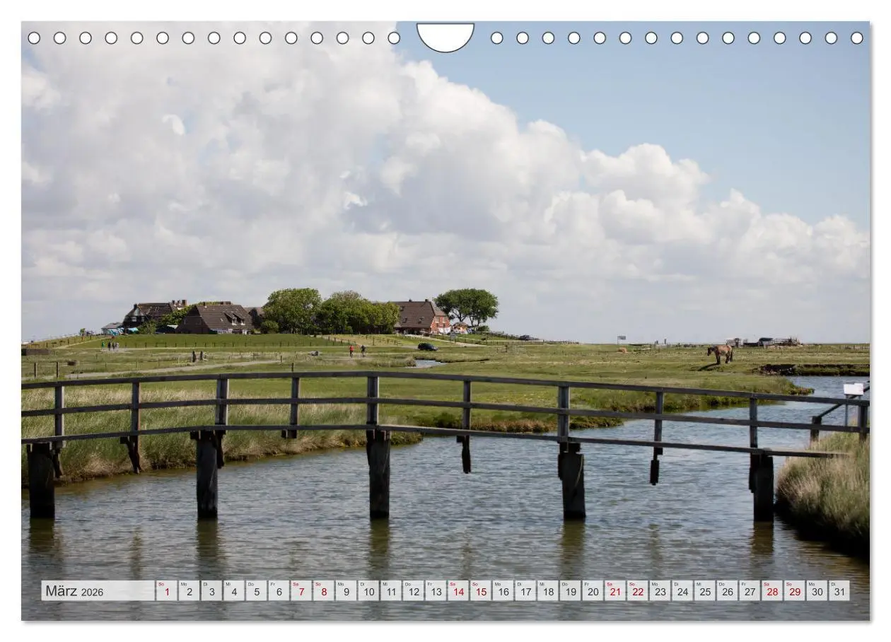 Bild: 9783457585245 | Wunderschöne Hallig Hooge (Wandkalender 2026 DIN A4 quer), CALVENDO...