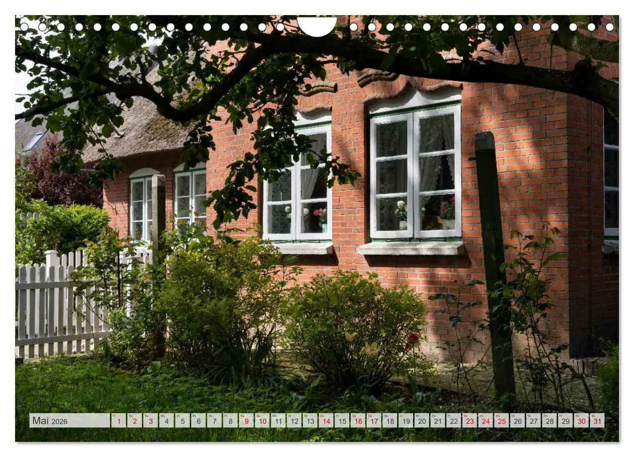 Bild: 9783457585245 | Wunderschöne Hallig Hooge (Wandkalender 2026 DIN A4 quer), CALVENDO...