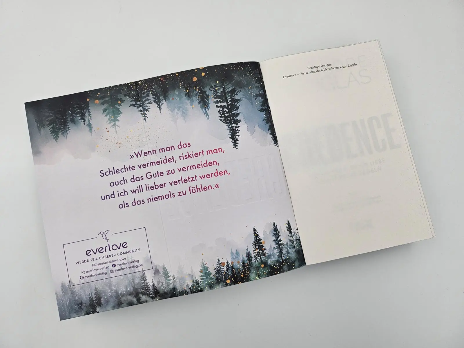 Bild: 9783492065245 | Credence - Sie ist tabu, doch Liebe kennt keine Regeln | Douglas