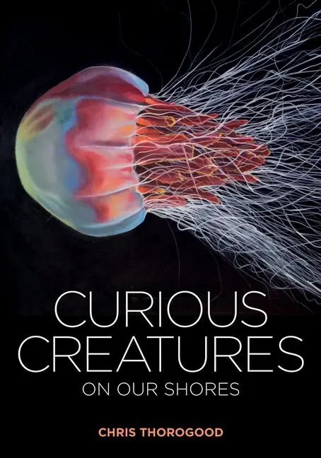 Cover: 9781851245345 | Curious Creatures on Our Shores | Chris Thorogood | Buch | Gebunden