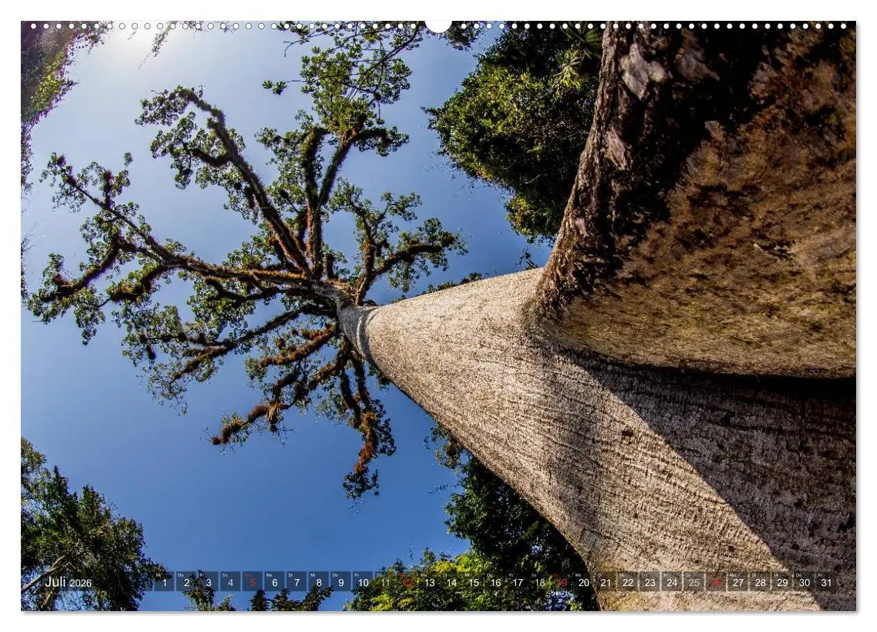 Bild: 9783457955345 | Belize - Guatemala (hochwertiger Premium Wandkalender 2026 DIN A2...
