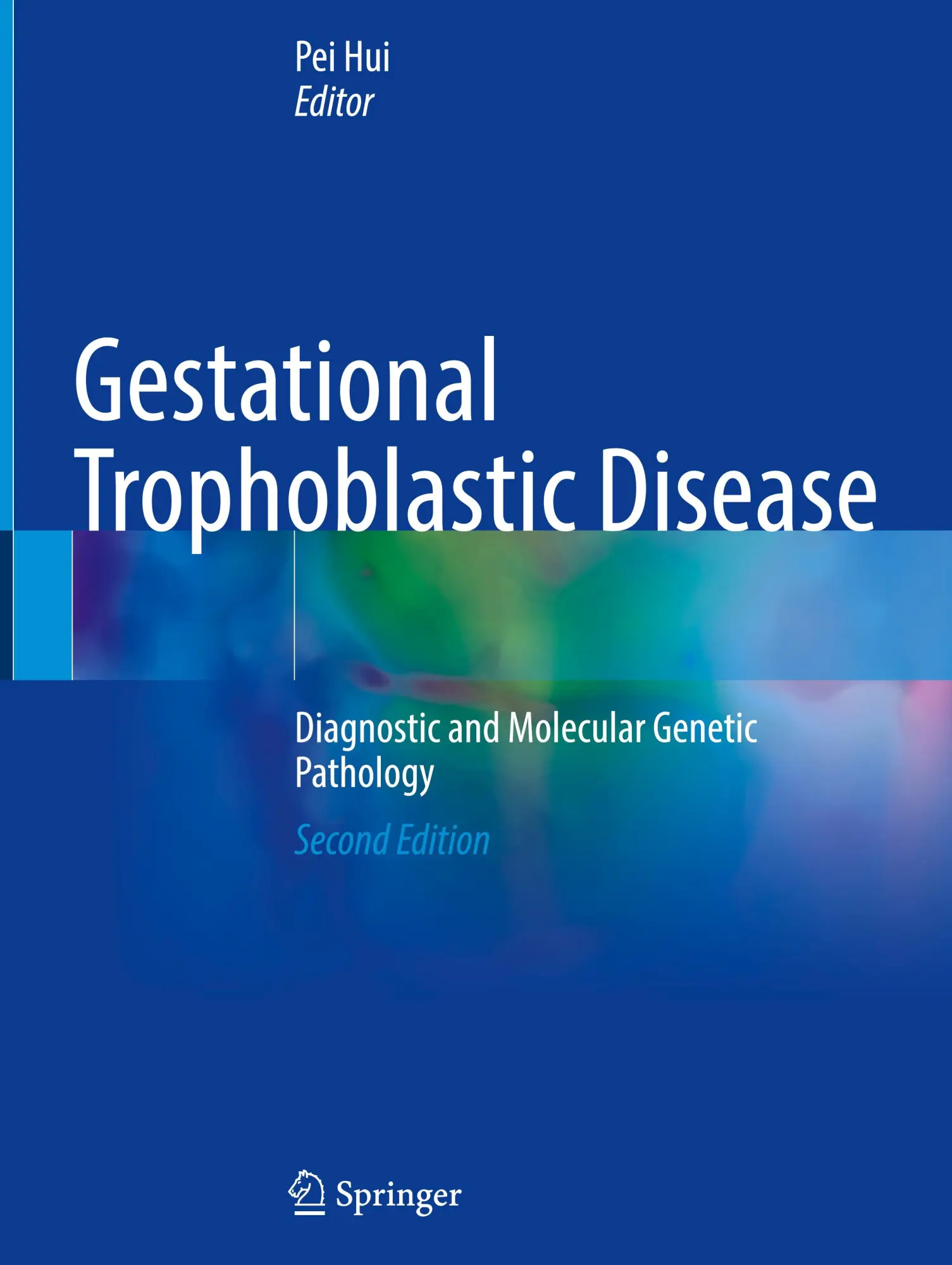 Cover: 9783031835445 | Gestational Trophoblastic Disease | Pei Hui | Buch | xi | Englisch