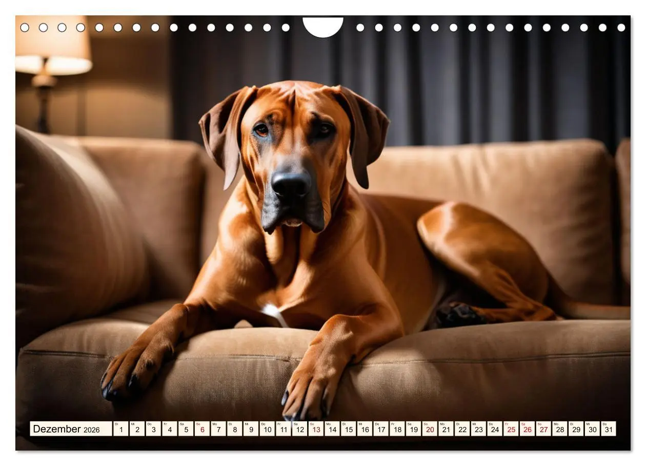 Bild: 9783457325445 | Rhodesian Ridgeback - Athlet mit Rückenkamm (Wandkalender 2026 DIN...