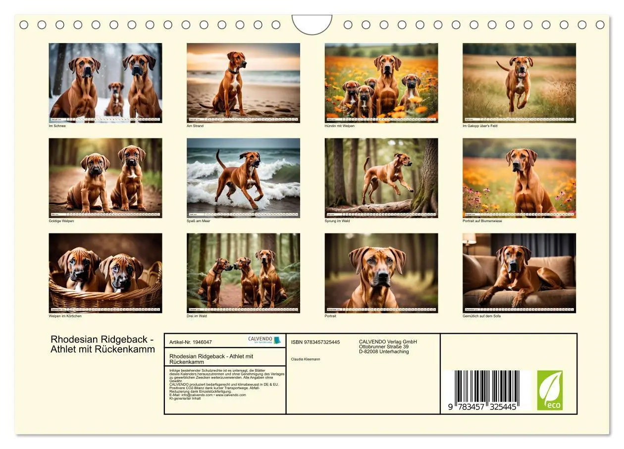 Bild: 9783457325445 | Rhodesian Ridgeback - Athlet mit Rückenkamm (Wandkalender 2026 DIN...
