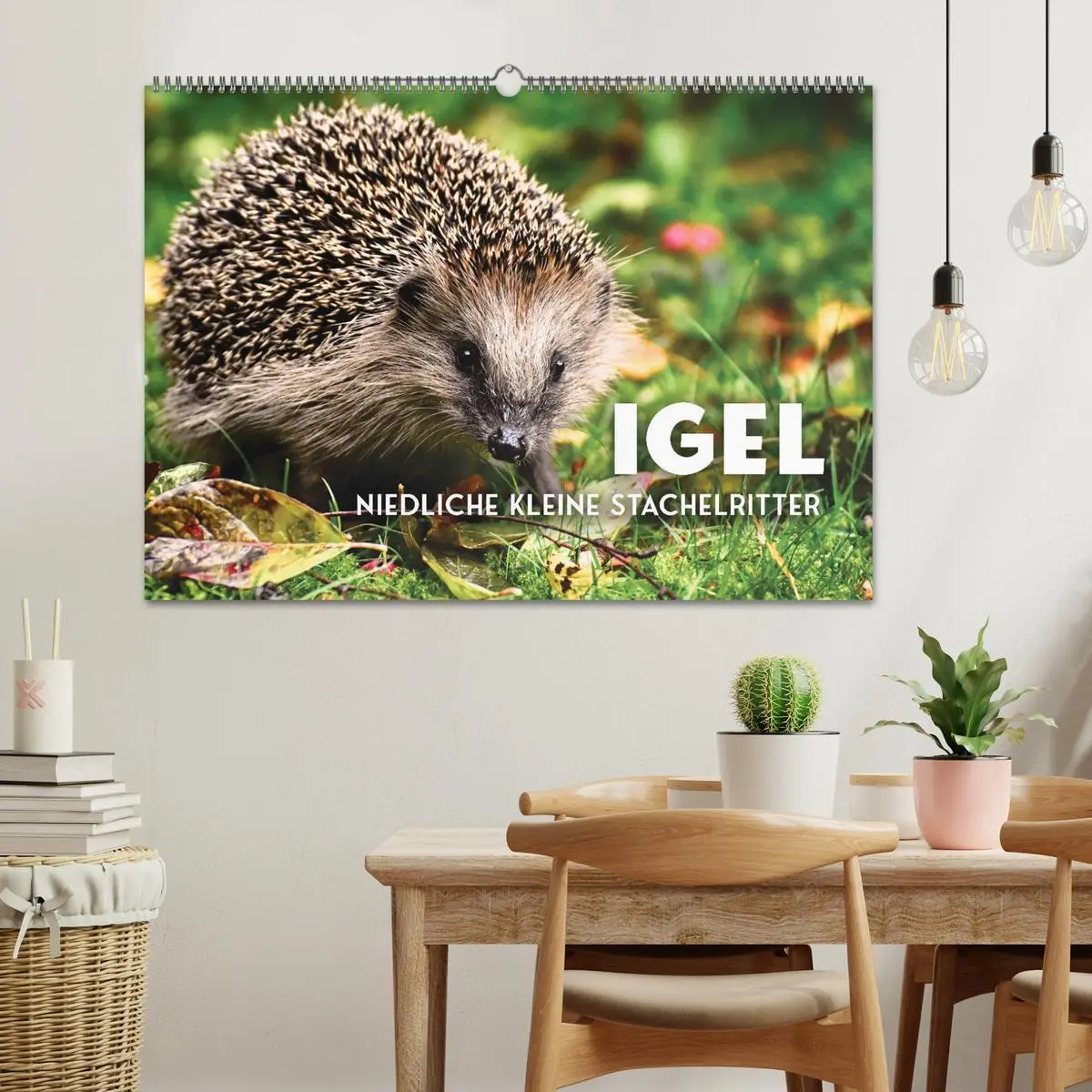 Bild: 9783457565445 | Igel - Niedliche kleine Stachelritter (Wandkalender 2026 DIN A2...