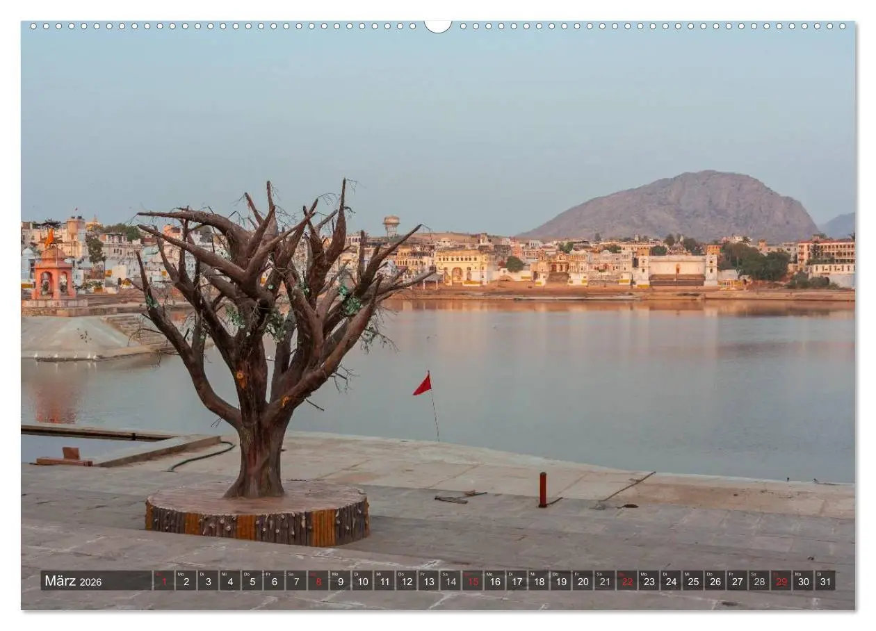 Bild: 9783457945445 | Indien, Rajasthan (Wandkalender 2026 DIN A2 quer), CALVENDO...