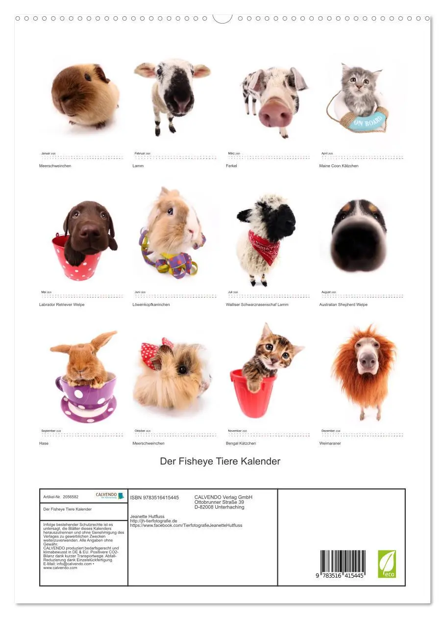 Bild: 9783516415445 | Der Fisheye Tiere Kalender (hochwertiger Premium Wandkalender 2026...