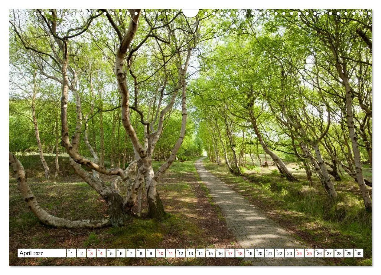 Bild: 9783569505445 | Baltrum - Momente einer Reise (Wandkalender 2027 DIN A3 quer),...