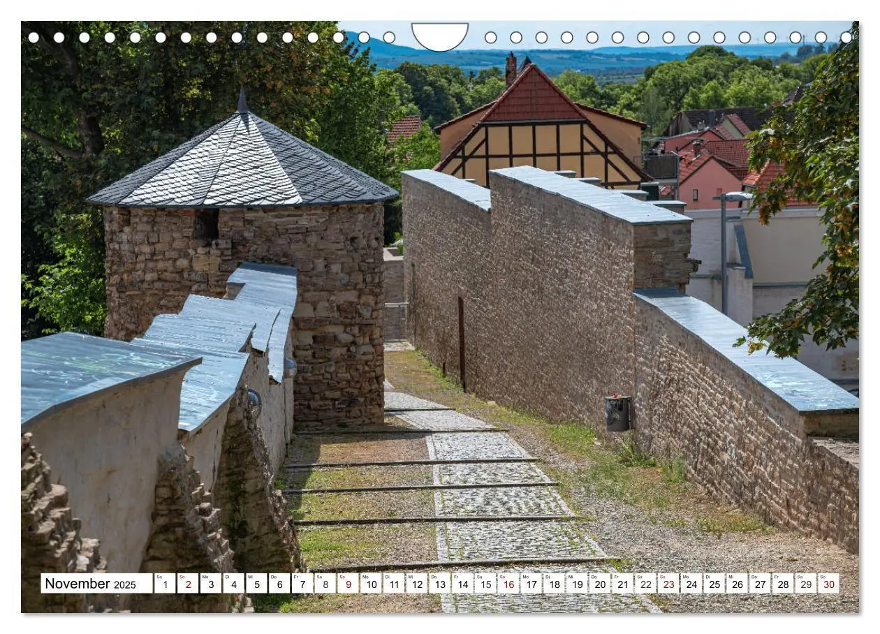 Bild: 9783435225545 | Rosenstadt Sangerhausen (Wandkalender 2025 DIN A4 quer), CALVENDO...