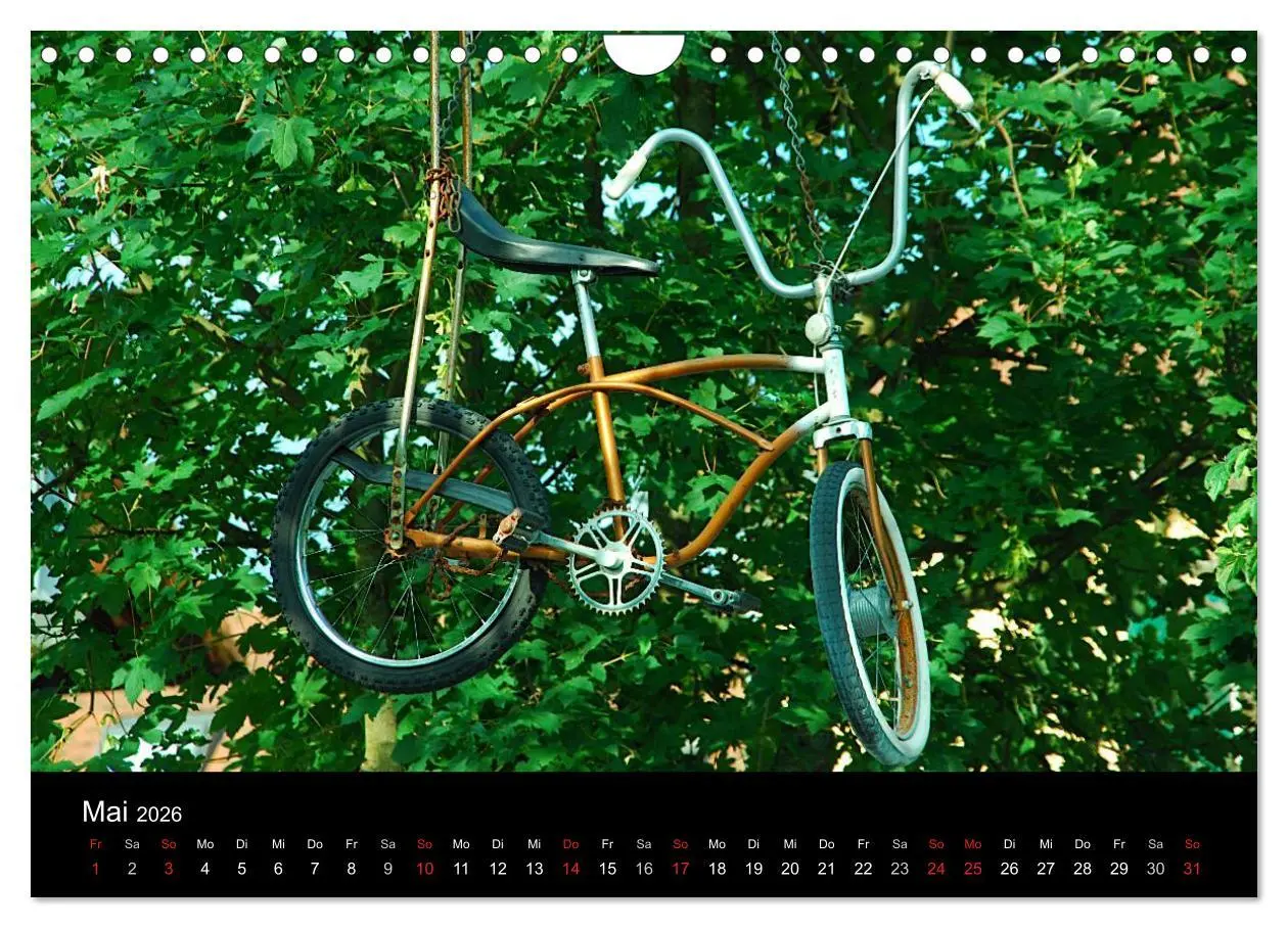 Bild: 9783516025545 | Mit dem Fahrrad durch 2026 (Wandkalender 2026 DIN A4 quer),...