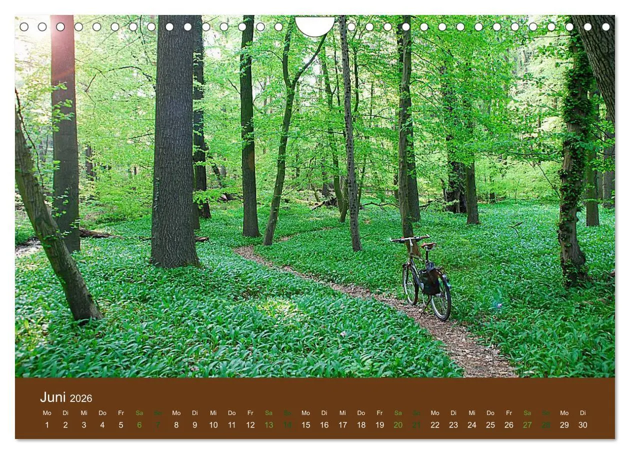 Bild: 9783516025545 | Mit dem Fahrrad durch 2026 (Wandkalender 2026 DIN A4 quer),...