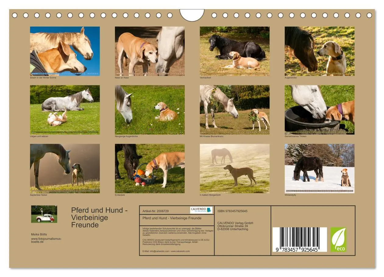 Bild: 9783457925645 | Pferd und Hund - Vierbeinige Freunde (Wandkalender 2026 DIN A4...