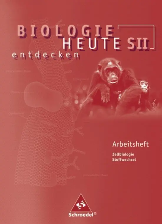 Cover: 9783507105645 | Biologie heute entdecken S2. Arbeitsheft 1 | Gymnasium | Antje Starke