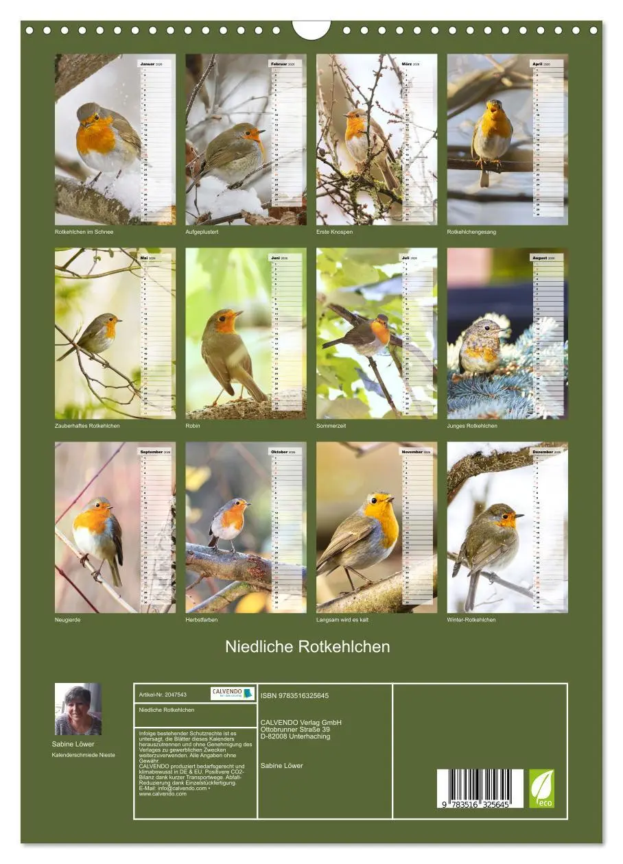 Bild: 9783516325645 | Niedliche Rotkehlchen (Wandkalender 2026 DIN A3 hoch), CALVENDO...