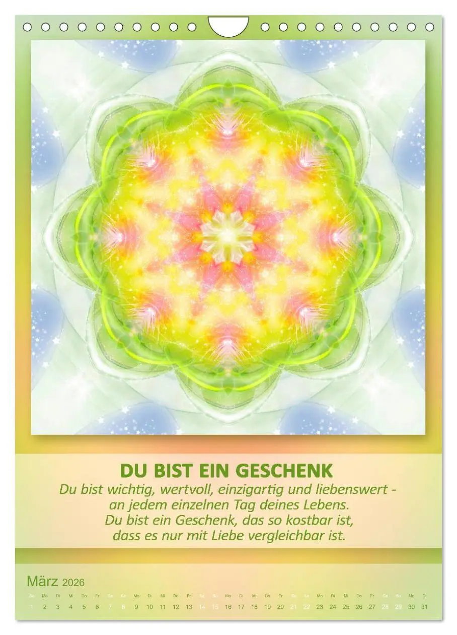 Bild: 9783516485745 | Light Energy Mandalas - Kalender - Vol. 1 (Wandkalender 2026 DIN A4...