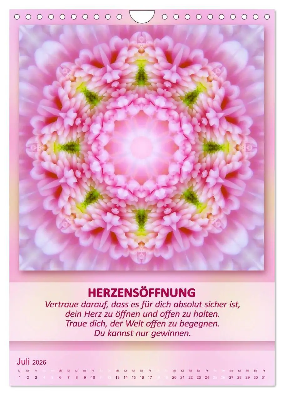 Bild: 9783516485745 | Light Energy Mandalas - Kalender - Vol. 1 (Wandkalender 2026 DIN A4...