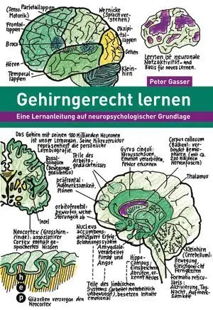 Cover: 9783039055845 | Gehirngerecht lernen | Peter Gasser | Taschenbuch | 172 S. | Deutsch