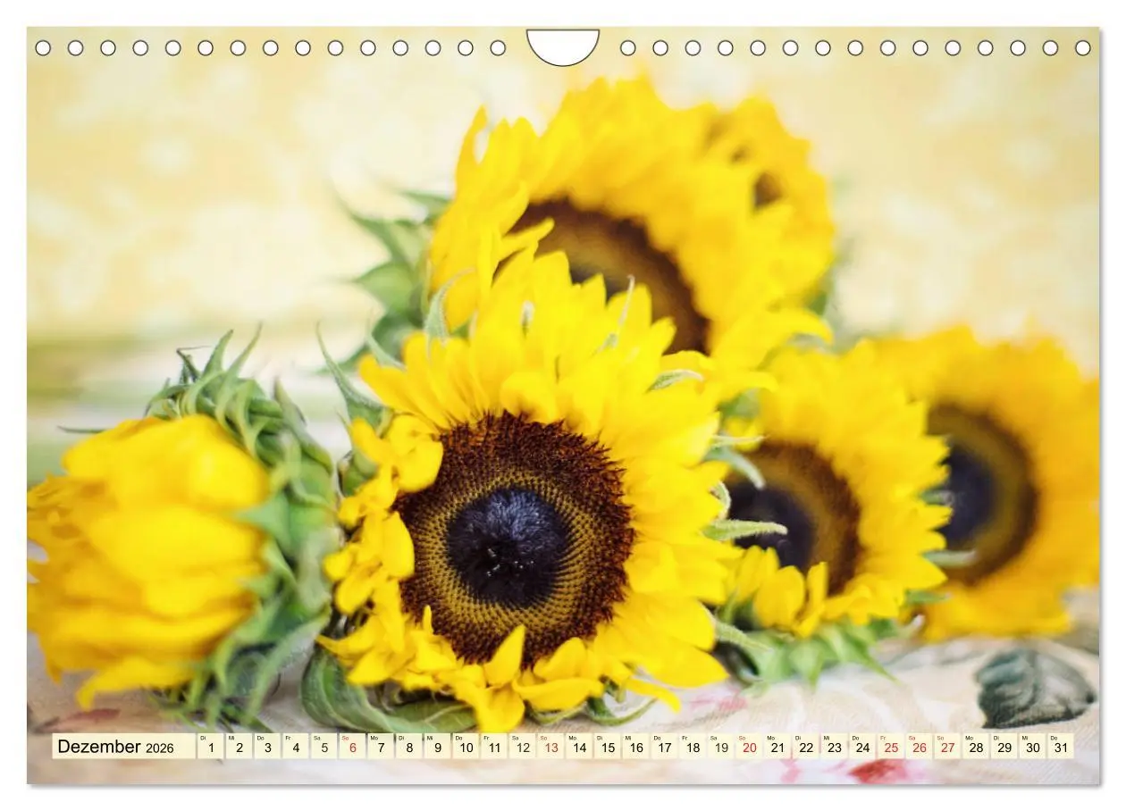 Bild: 9783457765845 | Sonnenblumen. Das Strahlen des Sommers (Wandkalender 2026 DIN A4...