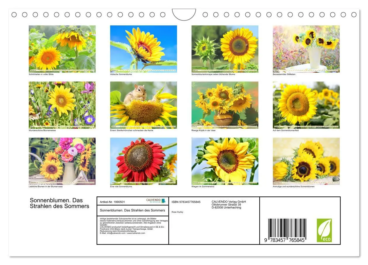 Bild: 9783457765845 | Sonnenblumen. Das Strahlen des Sommers (Wandkalender 2026 DIN A4...