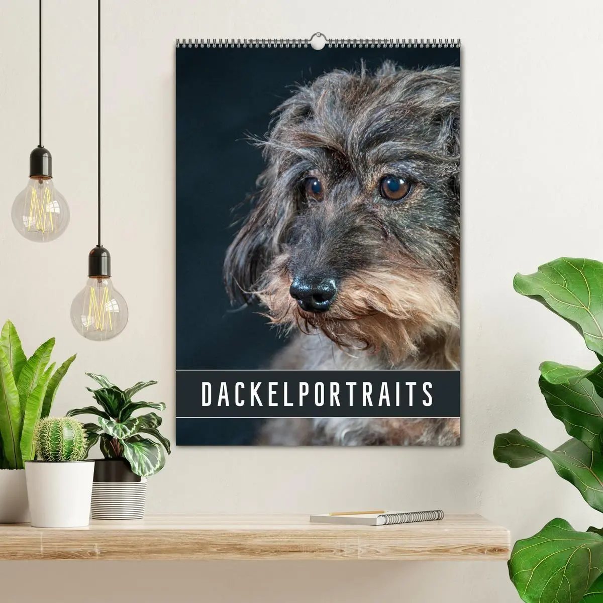 Bild: 9783569705845 | Dackelportraits (Wandkalender 2027 DIN A2 hoch), CALVENDO...