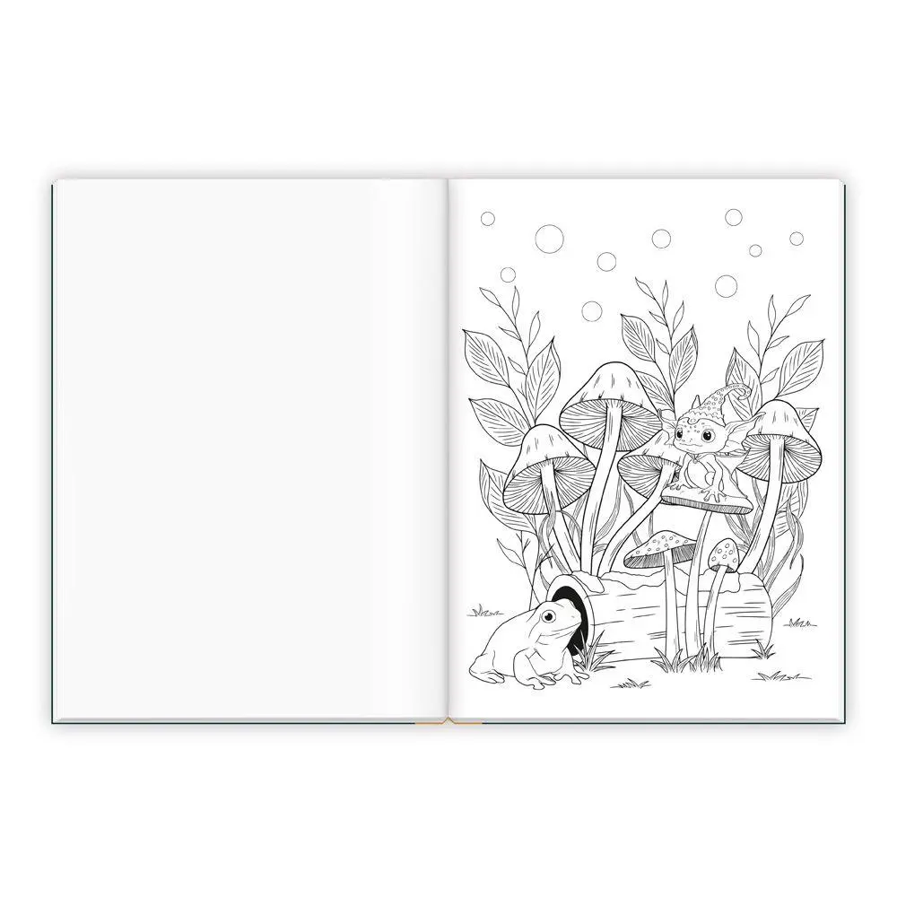 Bild: 9783988025845 | TRÖTSCH - Malbuch Entspanntes Malen Zauberwald | KG | Taschenbuch