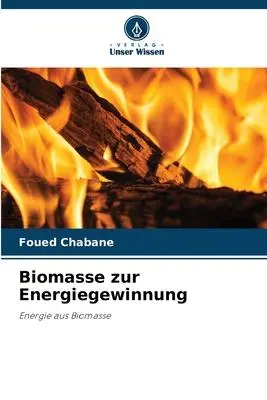 Cover: 9786206065845 | Biomasse zur Energiegewinnung | Energie aus Biomasse | Foued Chabane