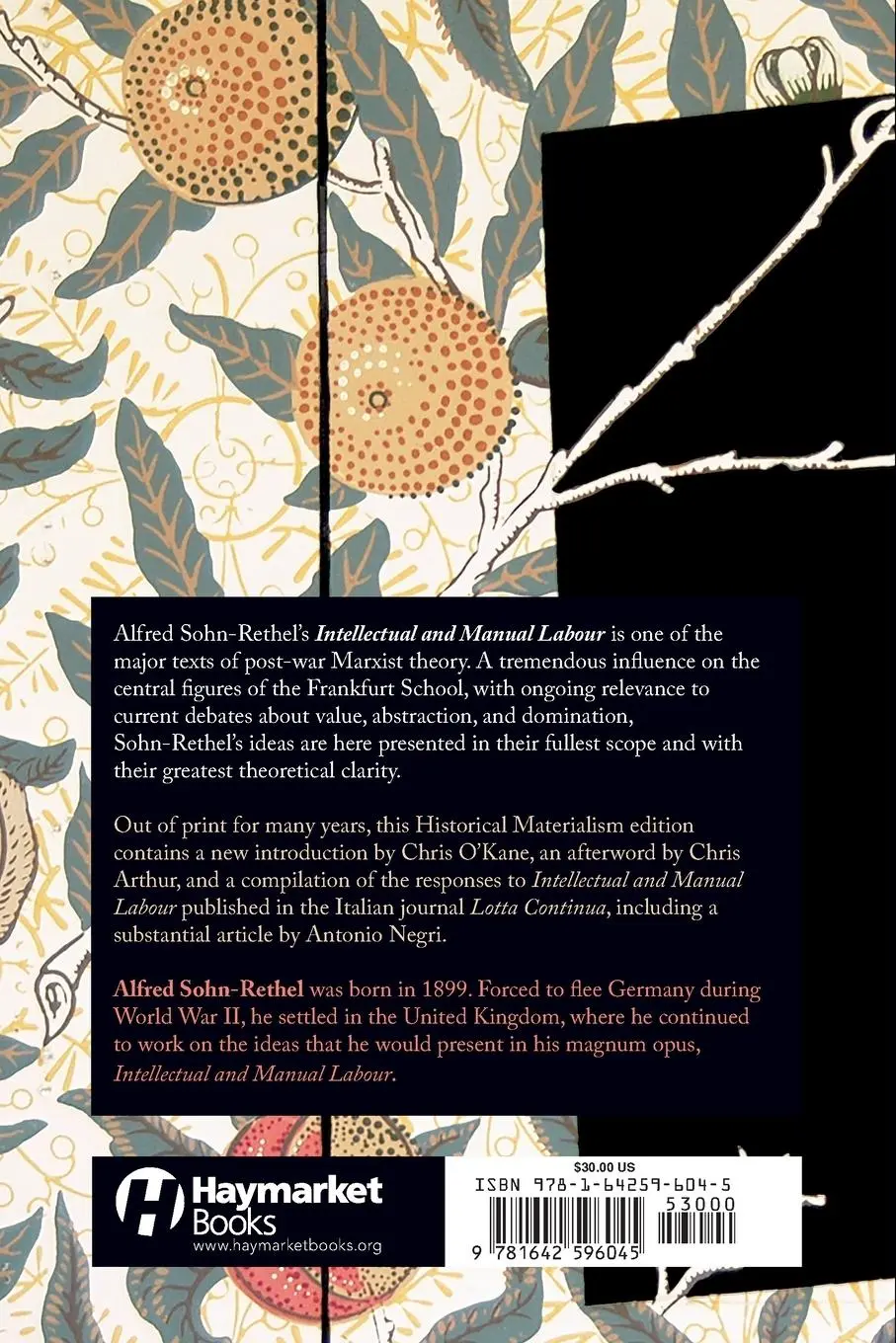Rückseite: 9781642596045 | Intellectual and Manual Labour | A Critique of Epistemology | Buch