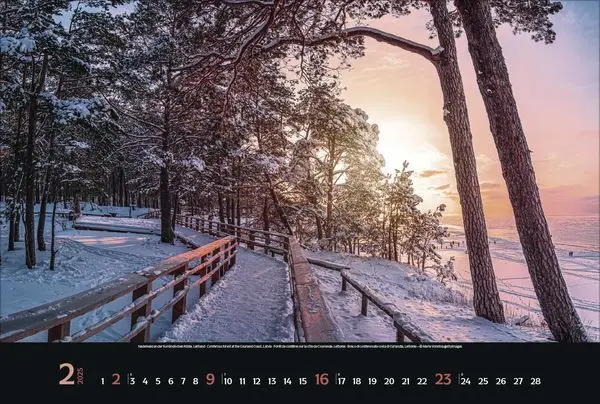 Bild: 9783731876045 | Magische Wälder 2025 | Korsch Verlag | Kalender | Spiralbindung | 2025