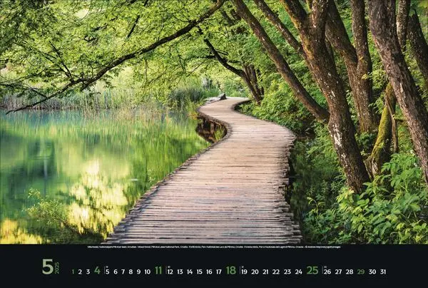 Bild: 9783731876045 | Magische Wälder 2025 | Korsch Verlag | Kalender | Spiralbindung | 2025
