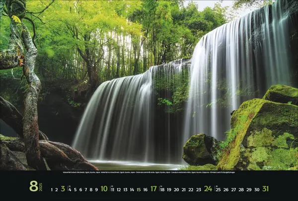 Bild: 9783731876045 | Magische Wälder 2025 | Korsch Verlag | Kalender | Spiralbindung | 2025