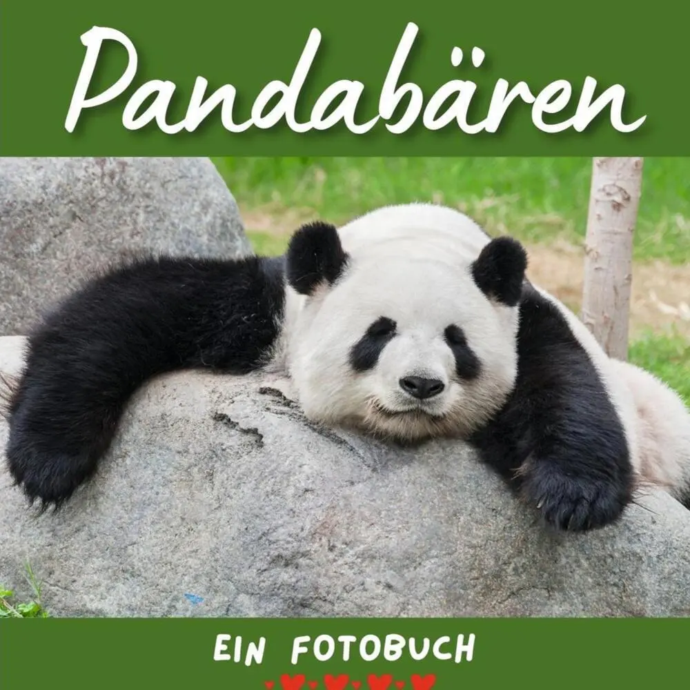 Cover: 9783750516045 | Pandabären | Bibi Hübsch | Taschenbuch | 42 S. | Deutsch | 2022