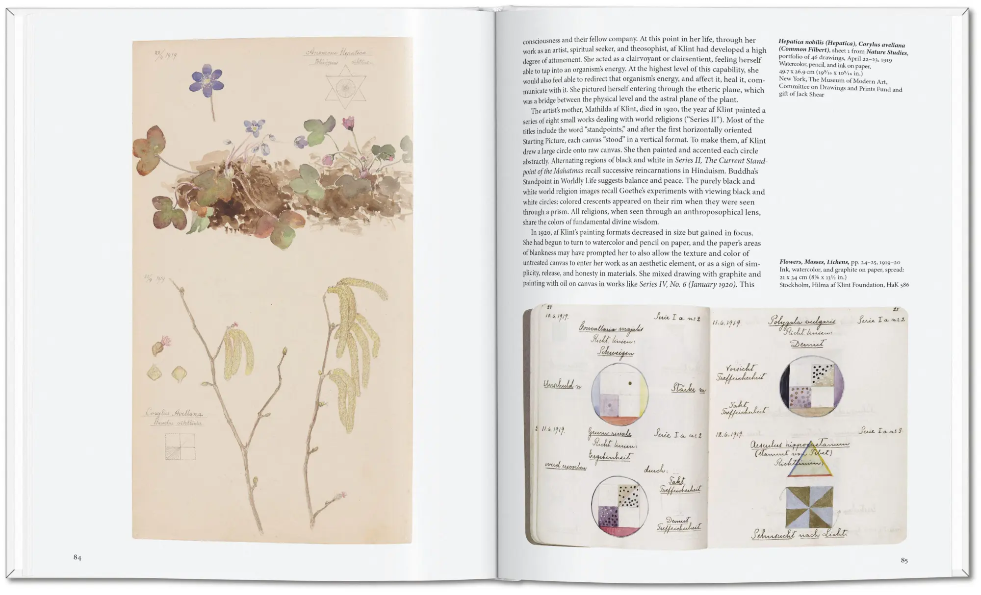 Bild: 9783754406045 | Hilma af Klint | Janis Mink | Buch | Basic Art Series | 96 S. | 2026