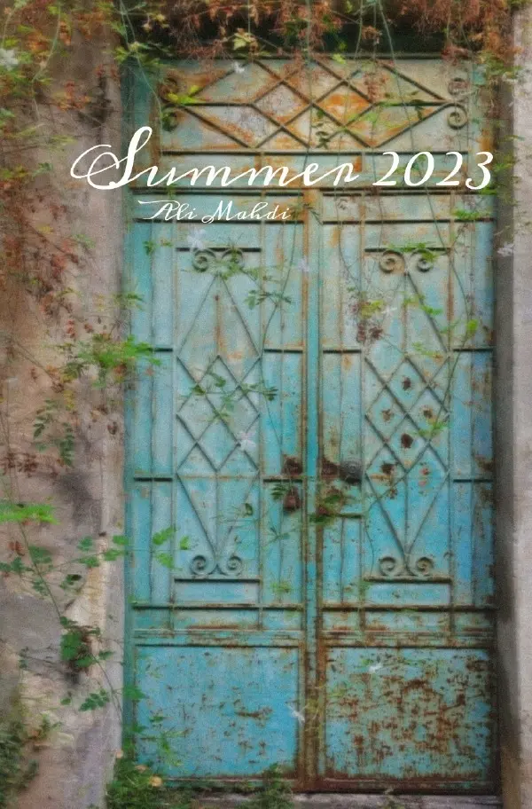 Cover: 9783819776045 | Summer 2023 (Deutsche Version) | DE | Ali Mahdi | Taschenbuch | 276 S.