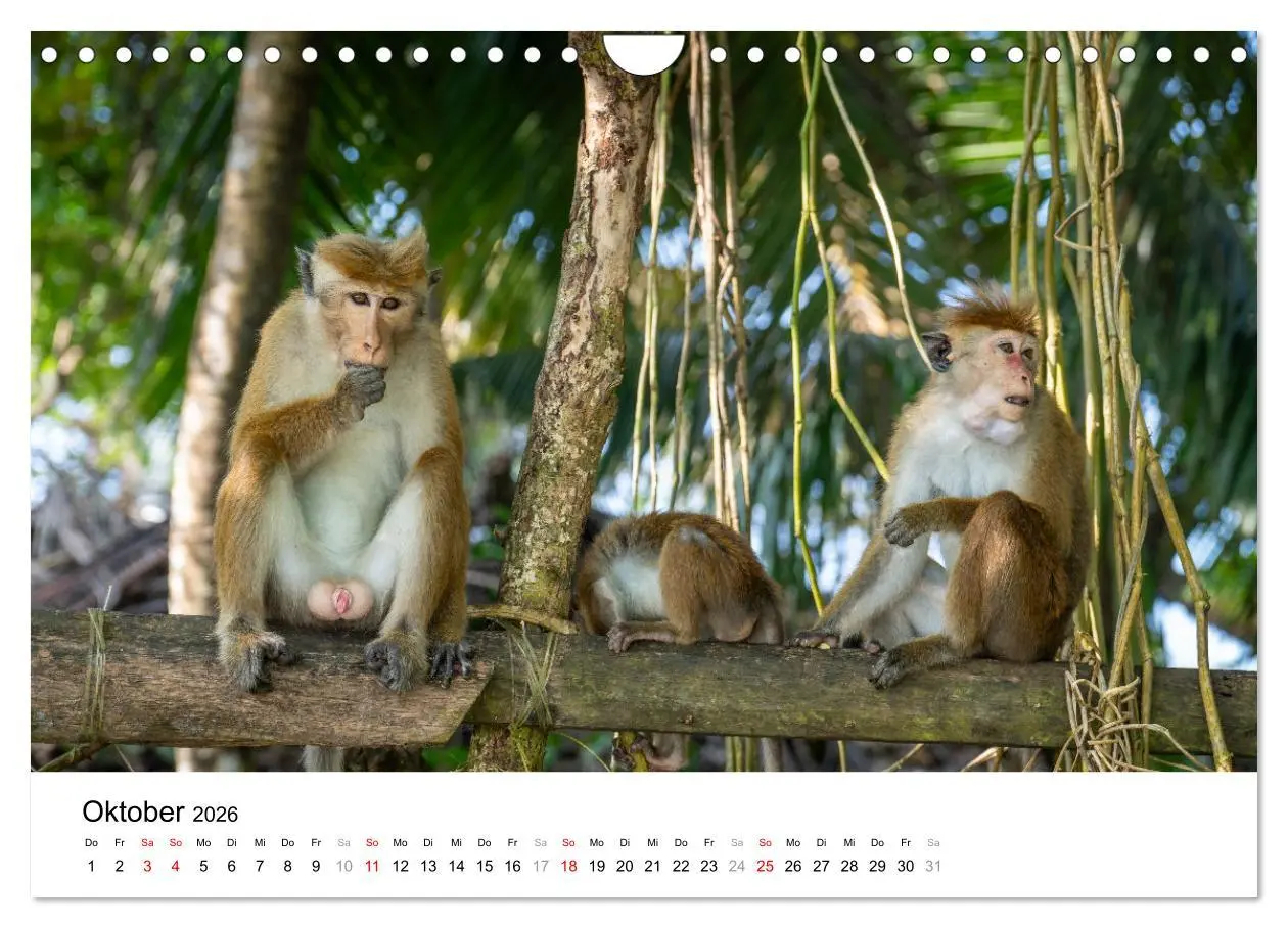 Bild: 9783457316245 | Urlaub in Sri Lanka - Reise durch Asien, Kultur und Natur...