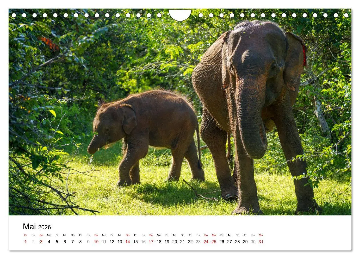 Bild: 9783457316245 | Urlaub in Sri Lanka - Reise durch Asien, Kultur und Natur...
