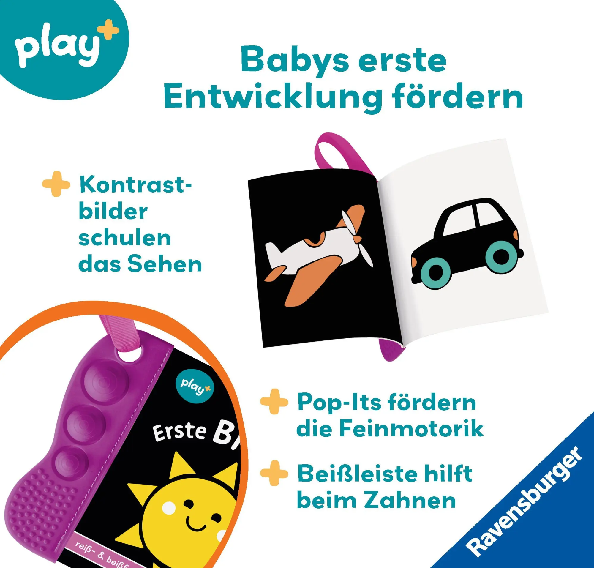 Bild: 9783473456345 | Play+ flip&amp;pop Erste Bilder - ab 6 Monate | Mein allererstes Beißbuch