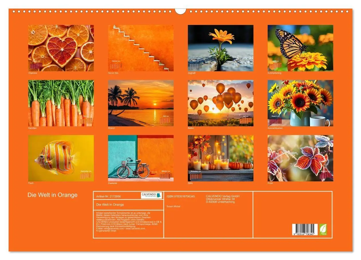 Bild: 9783516706345 | Die Welt in Orange (Wandkalender 2026 DIN A2 quer), CALVENDO...