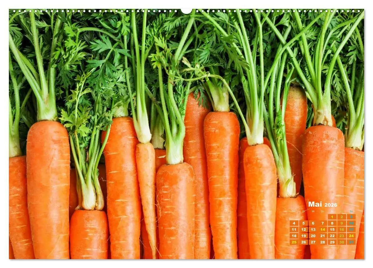Bild: 9783516706345 | Die Welt in Orange (Wandkalender 2026 DIN A2 quer), CALVENDO...