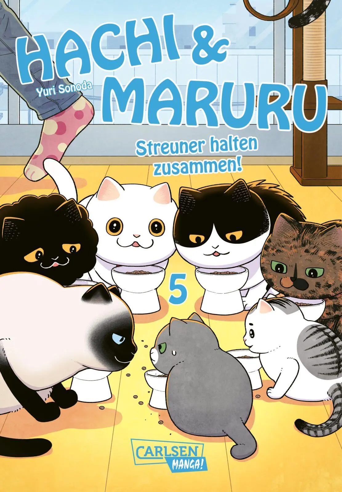 Cover: 9783551806345 | Hachi &amp; Maruru - Streuner halten zusammen! 5 | Yuri Sonoda | Buch