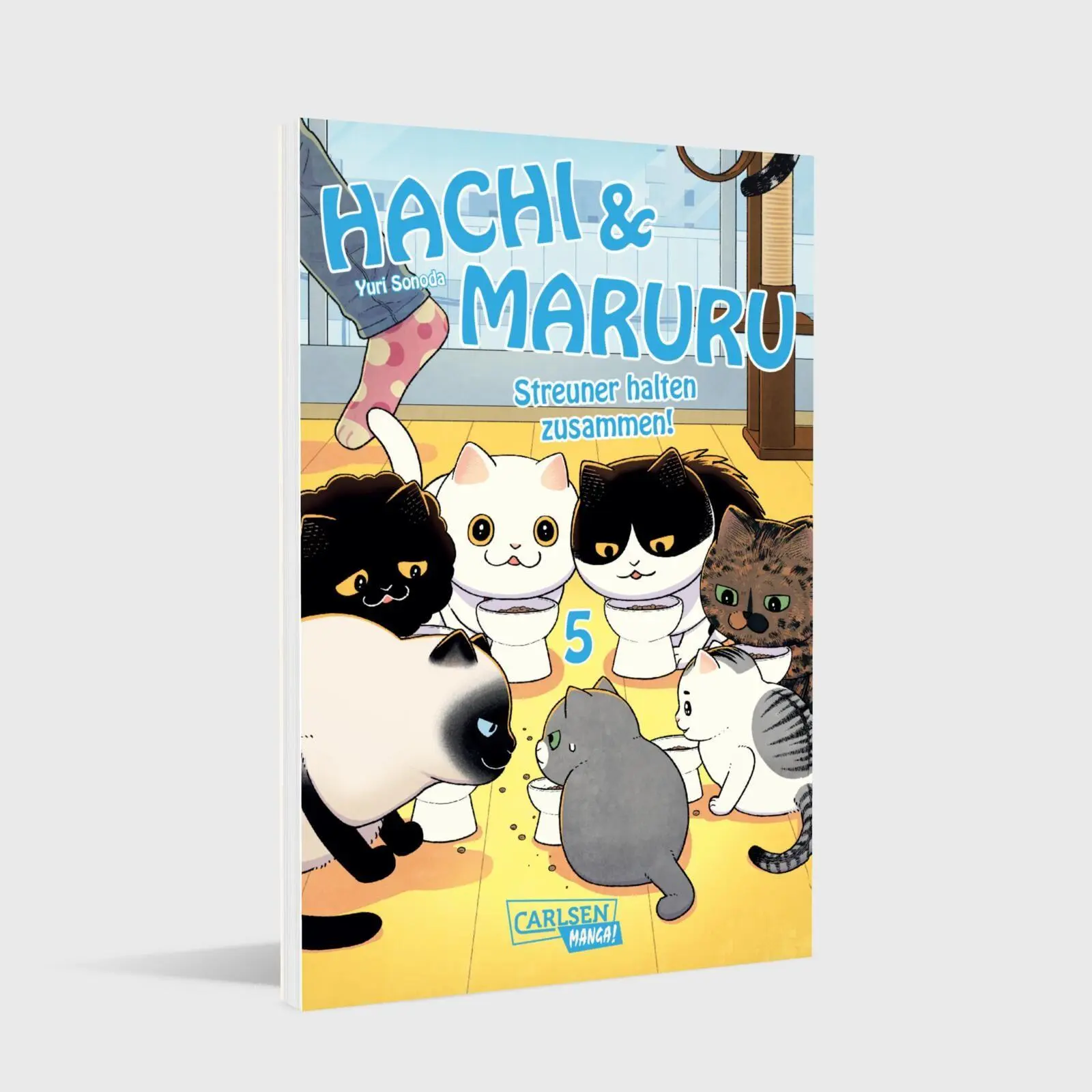 Bild: 9783551806345 | Hachi &amp; Maruru - Streuner halten zusammen! 5 | Yuri Sonoda | Buch
