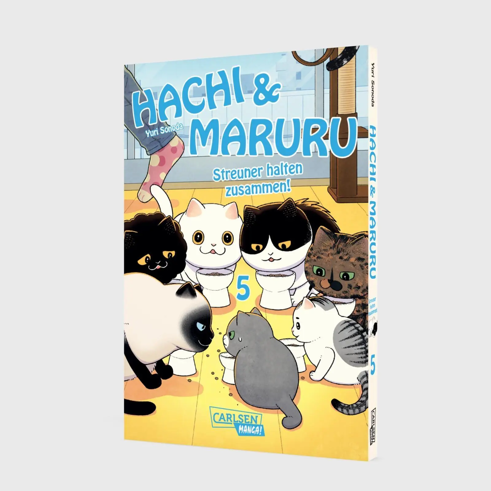 Bild: 9783551806345 | Hachi &amp; Maruru - Streuner halten zusammen! 5 | Yuri Sonoda | Buch